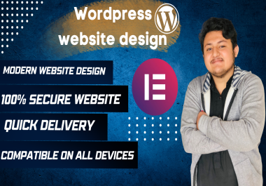 responsive wordpress website design professionally