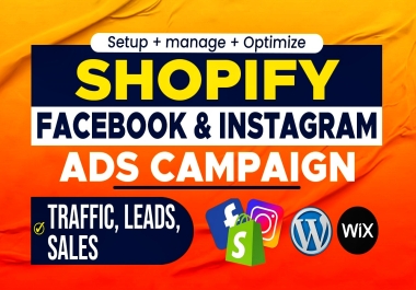 I will setup Shopify ads campaign for your business