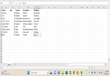 Data Entry in MS Excel,  Google Sheets,  Web Research,  Email Scraping,  Copy Paste in 24 hours