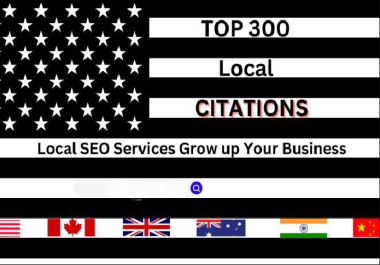 I will do high quality 300 citations for your business
