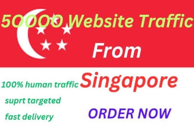 Web Traffic your targeted country
