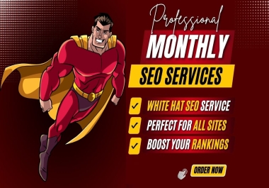 professional monthly seo package