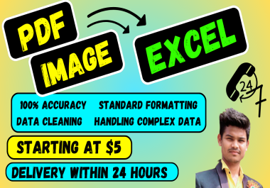 I will convert PDF and images to excel or data entry in 24 hours