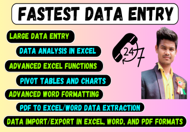 I will do fastest data entry data entry within 24 hours