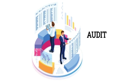 Analyze Full Website Action Plan & Recommendation