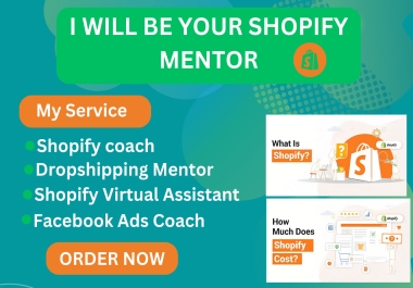I will be your shopify dropshipping mentor,  shopify sales consultant to boost sales