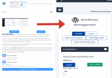 WordPress Website Development.
