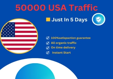 50000 Traffic from USA to your website or any link