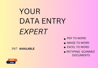 I will do a fast data entry typist job,  retype scanned and pdf to word documents
