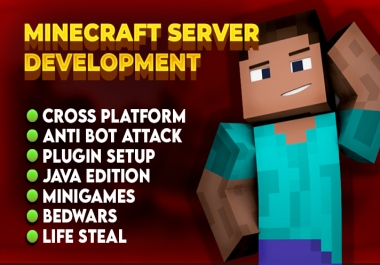 I will develop a minecraft server for you