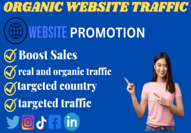 I will do organic website traffic promotion to you website
