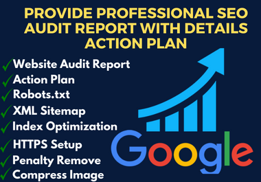 I will provide a professional website SEO audit report with a detailed action plan