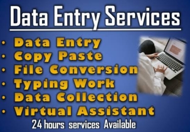 I'm professional typing master and MS Word Excel data entry which service you required