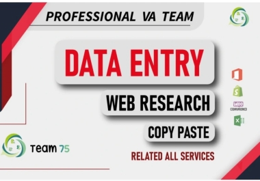 I will do excel data entry,  web research,  data entry,  copy-paste