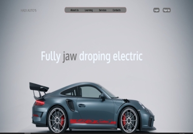 I will provide web development services