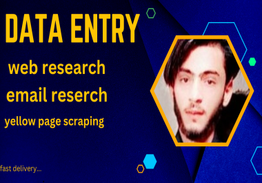 I am data entry and web research professional