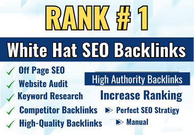 I will rank your website on google 1st page,  SEO link building services