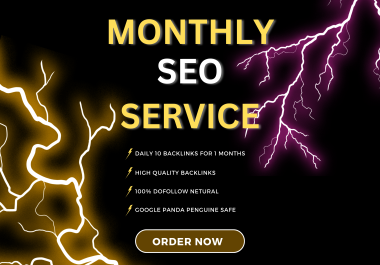 Lightning Monthly Seo Service for Google ranking