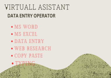 I will be your Virtual Assistant and Do Data entry and copy paste