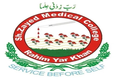 Web Design,  Logo Design,  Web Programming,  Database,  C,  Cpp,  C,  Office,  Network