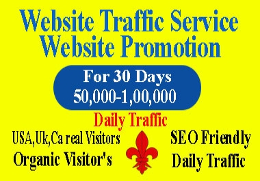 I will do organic website visitors promotion for 30 days