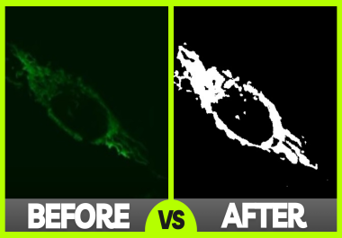 I will do simple python,  OpenCV,  Machine Learning,  Web scraping and Artificial Intelligence projects