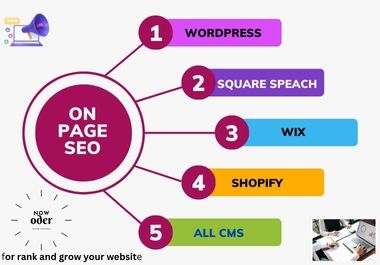 I will do on page SEO optimization to increase your website organic traffic