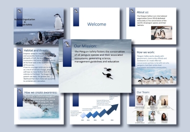 I will design a professional and custom PowerPoint presentation
