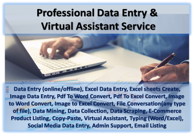 Professional Virtual Assistant & Data Entry,  Typing,  Copy and Paste works offered