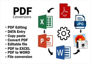 I will do perfect Data Entry/Data Analysis and All type of File Conversion
