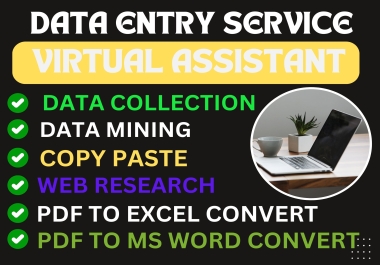 Manually do any data entry,  web research and pdf to excel data entry for 6 hours