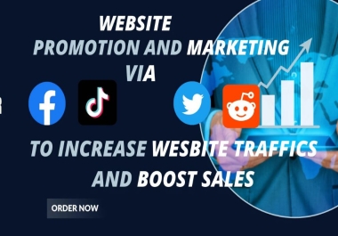 i will drive organic traffic to your website for more sales