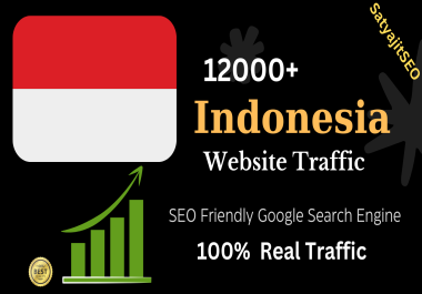 12000+ Indonesian web visitors real targeted Organic web traffic for your website