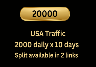 We provide 20000 USA Web Traffic for 10 days