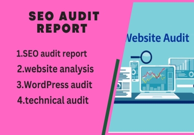 I will provide website audit reports and resolve technical issues