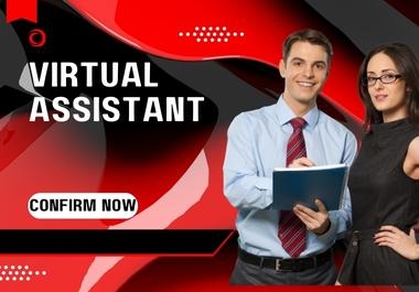 I will be your administrative virtual assistant,  data entry person