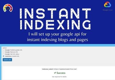 I will setup google instant indexing api for fastest indexing in minutes to get fast ranking