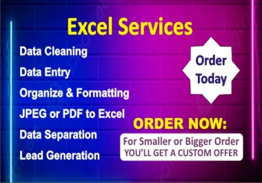 Data Entry - Data Cleaning - Lead Generation - Bookkeeping