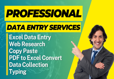 I Can do Professional Excel Data Entry,  Copy Paste,  Web Research,  and Typing