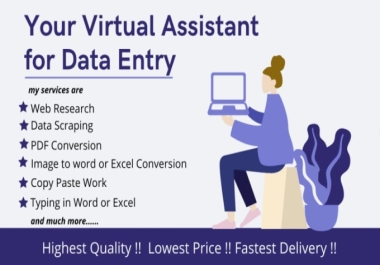 Efficient Data Entry and Virtual Assistant Operator