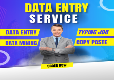 I do work as Data entry,  data mining,  job typing and copy paste