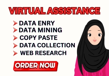 I will be virtual assistant for data entry,  data mining,  copy paste,  web research