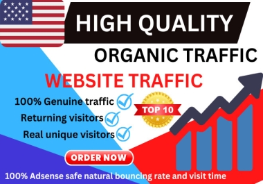 I will send 100,000 High-quality USA organic web traffic to your website