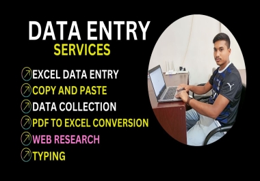 I will do professional excel data entry,  copy paste,  web research, typing