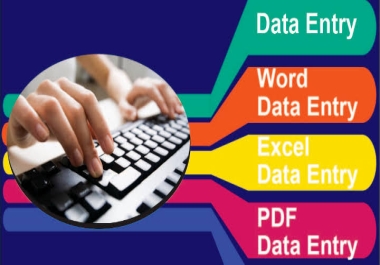 I am top class data entry typist operator