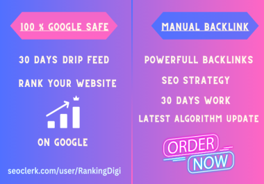 A 30-Day Drip Feed SEO Package with High-Quality Diverse Links Can Rank Your Website on Google