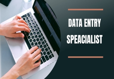 Efficient Data Entry Specialist with Proven Accuracy and Timely Delivery