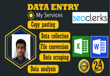 Precision Maestro Elevating Data Entry with Speed,  Accuracy,  and Professional Excellence. Your Data