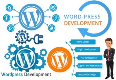 WordPress themes and plugins customization