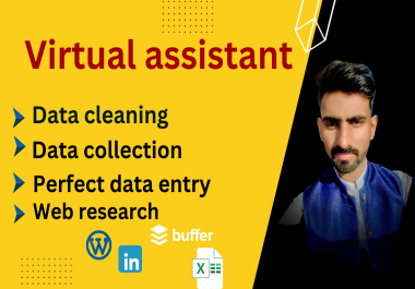 I will do perfect data entry cleaning data